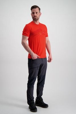 Produktbild Icebreaker Spector Seven Summits Herren T-Shirt