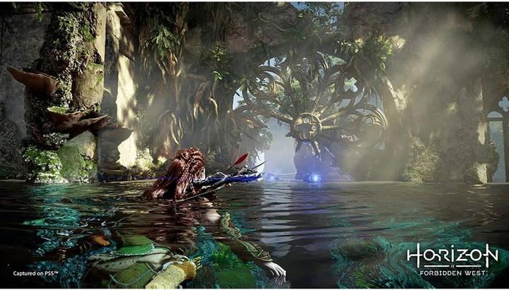Productafbeelding Sony Horizon Verboden Westen (PS5, DE)