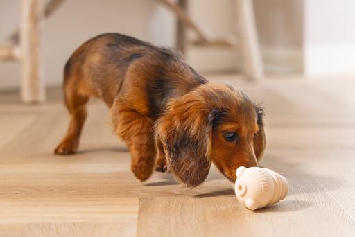 Image du produit Beeztees Sumo Mini Puppy Jouet Play