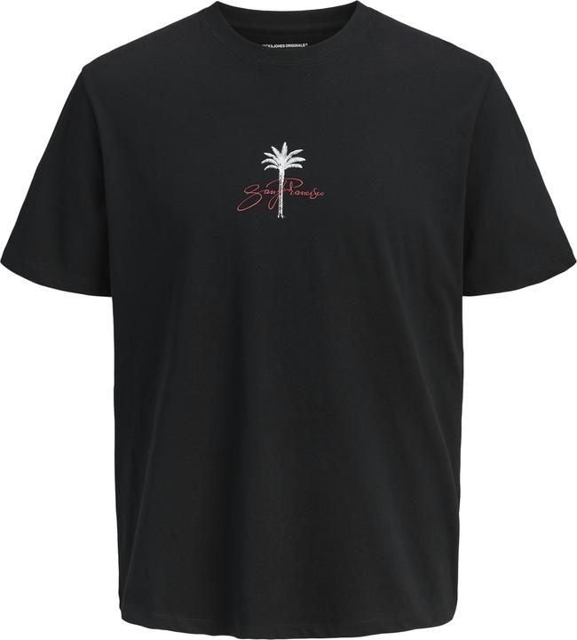 Image du produit Jack & Jones Jorbradley Goldengate Tee Ss C.N Stmss25 (M)