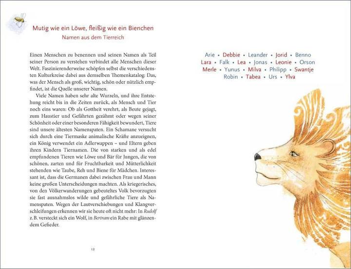 Produktbild Habt ihr schon einen Namen? (Deutsch, Susanne Koppe, 2015)