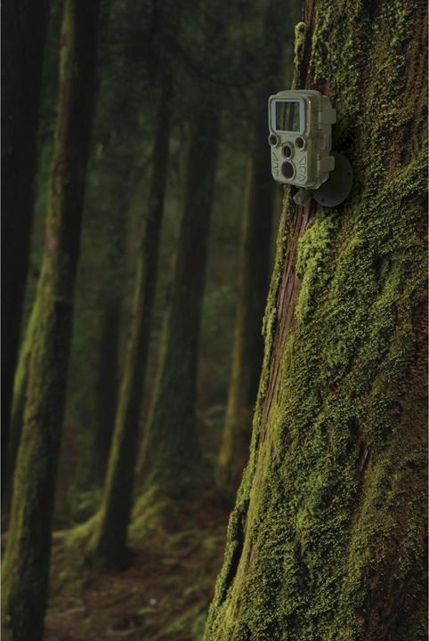 Image du produit Braun Photo Scouting Cam Black800 mini