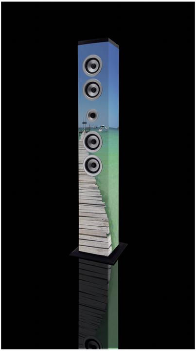 Actual product image Lenco IBT-6 Sea (Electrical connection)