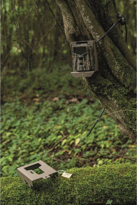 Produktbild Dörr Snapshot Extra