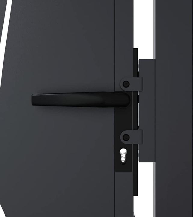 Image du produit vidaXL Gartentor