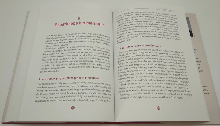 Produktbild Brustkrebs - Alles, was jetzt wichtig ist (Deutsch, Ludger Wahlers, Nadia Harbeck, 2022)