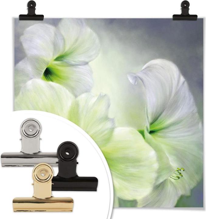 Immagine prodotto Trenddeko Amaryllis bianco (120 x 120 cm)