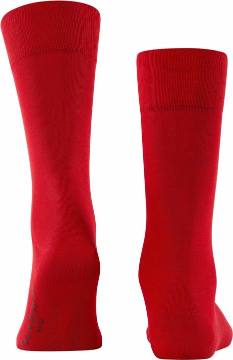 Immagine prodotto Falke Cool 24/7 SO (Confezione singola, 39 - 40)