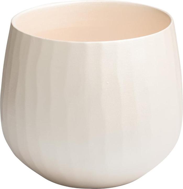 pfister Silk (15 cm)