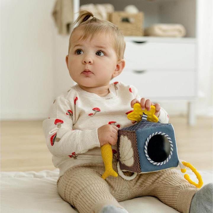 Actual product image Fehn Activity cube Otter