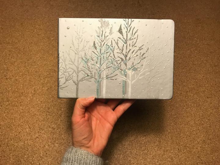 Produktbild Sakura Sketch Book A5 Medium Champagne Pink (A5, Blanko, Harter Einband)