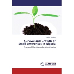 Survival and Growth of Small Enterprises in Nigeria, Fachbücher von Abiola Babajide