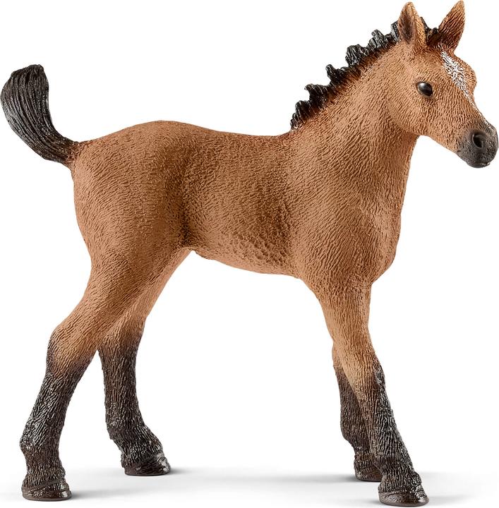 Produktbild Schleich Quarter Horse Fohlen