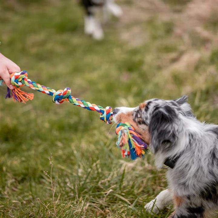 Produktbild Nobby Hunde-Spielzeug Knotenseil, Mehrfarbig (Kauspielzeug Hund)