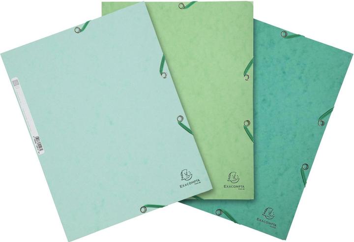 Actual product image Exacompta Folder (A4, 17x)