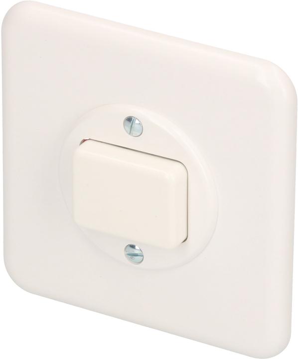 Actual product image Mica 1-gang insert changeover switch