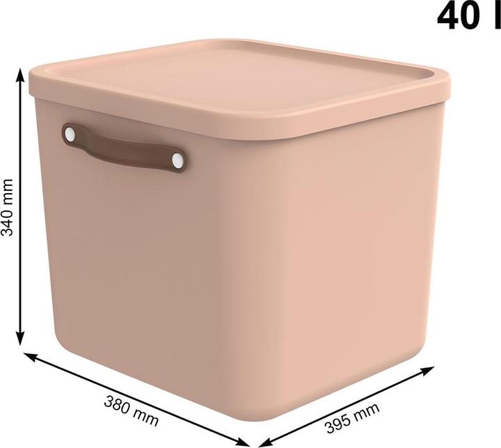 Meadow rose, light pink