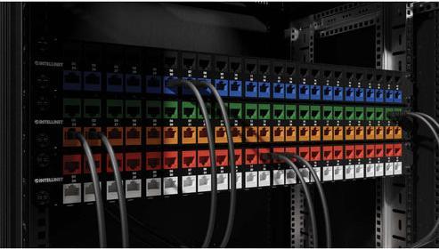 Image du produit Intellinet Module Keystone Cat6a 10G Slimline, blindé et sans outil, vert (Module Keystone)