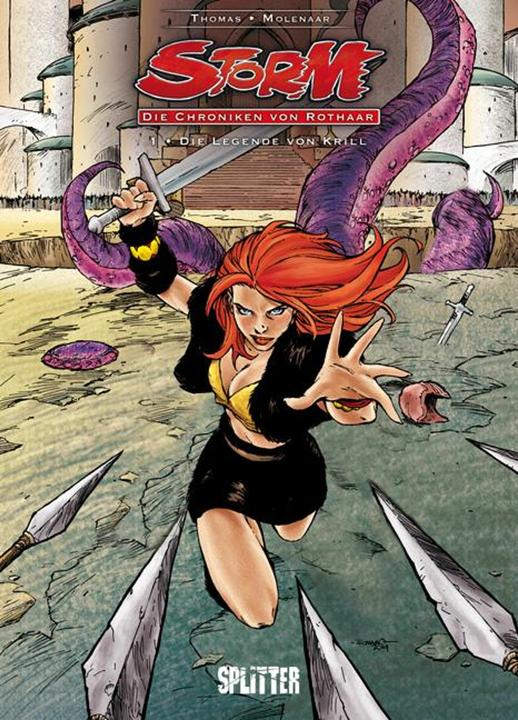 Actual product image Die Storm - Chroniken von Rothaar 01 (German, Romano Molenaar, Roy Molenaar, 2016)