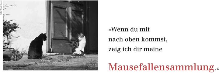 Immagine prodotto L'agenda settimanale del gatto letterario 2025 (1 giorno / 1 pagina)