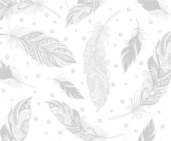 Produktbild Ursus Zauberpapier Federn (250 g/m², 10 x)