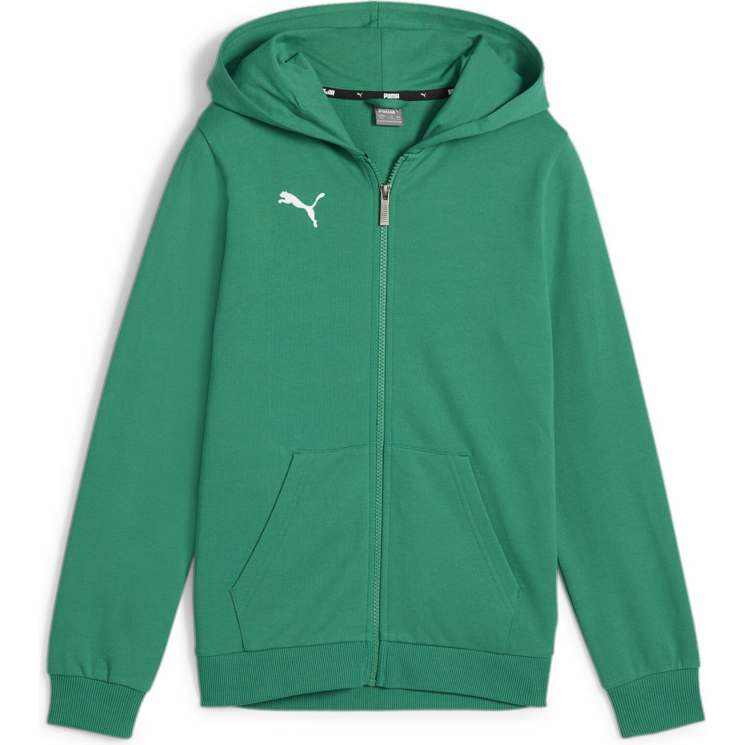 Puma, Jungen, Pullover, teamGOAL Casuals Hooded Jacket Jr, Grün, (128)