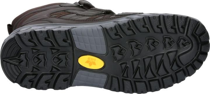 Actual product image Lico Wildlife V (43)