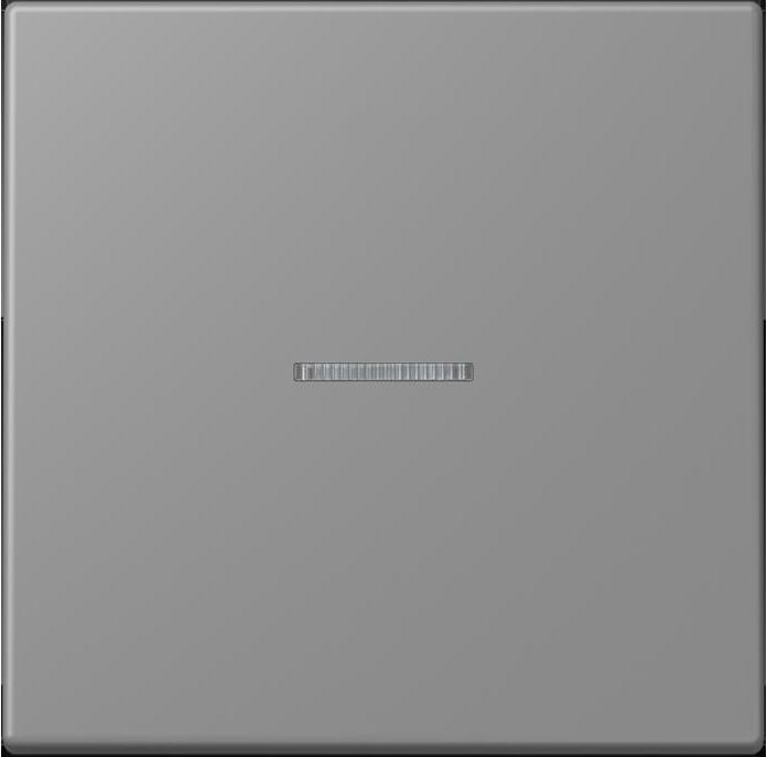 Actual product image JUNG Button