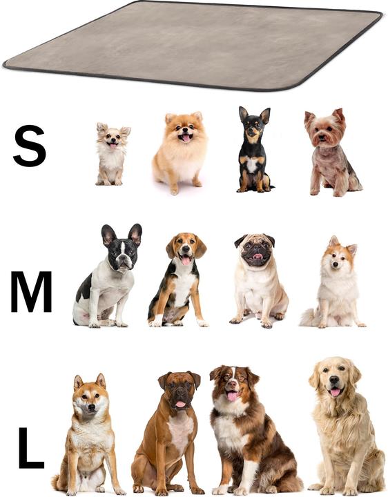 Actual product image Aspero Dog blanket Lund (Dog)