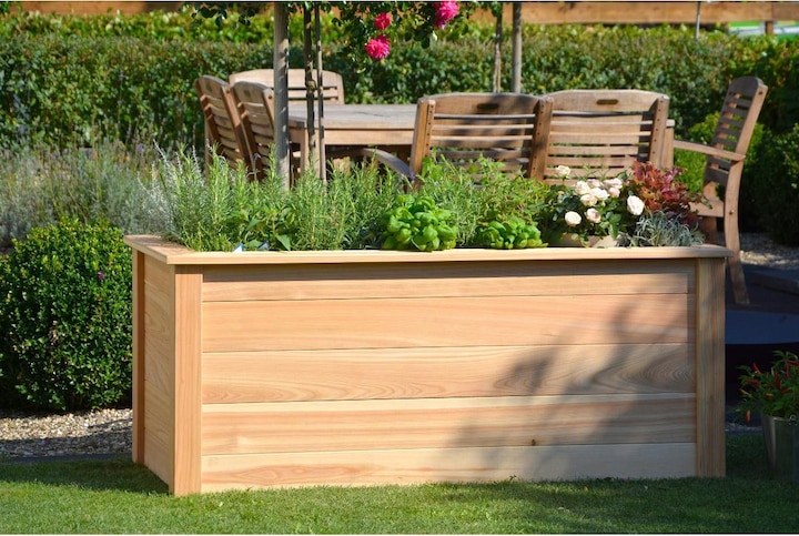 Actual product image Dobar Douglas fir