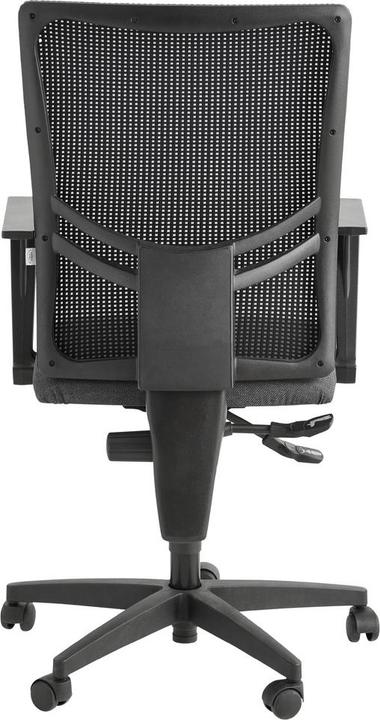 Actual product image Voleo Borgo