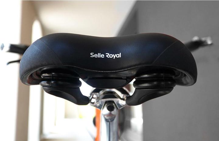 Actual product image Selle Royal Lookin Moderate