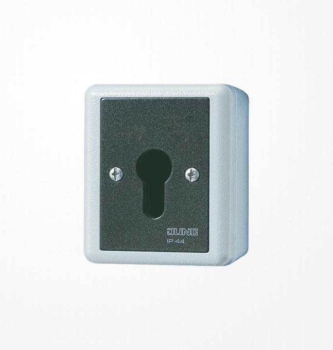 Actual product image JUNG Key switch
