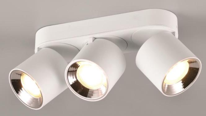 Image du produit Trio 651000331 Spot encastré/en saillie GUAYANA (8700 lm, GU10)