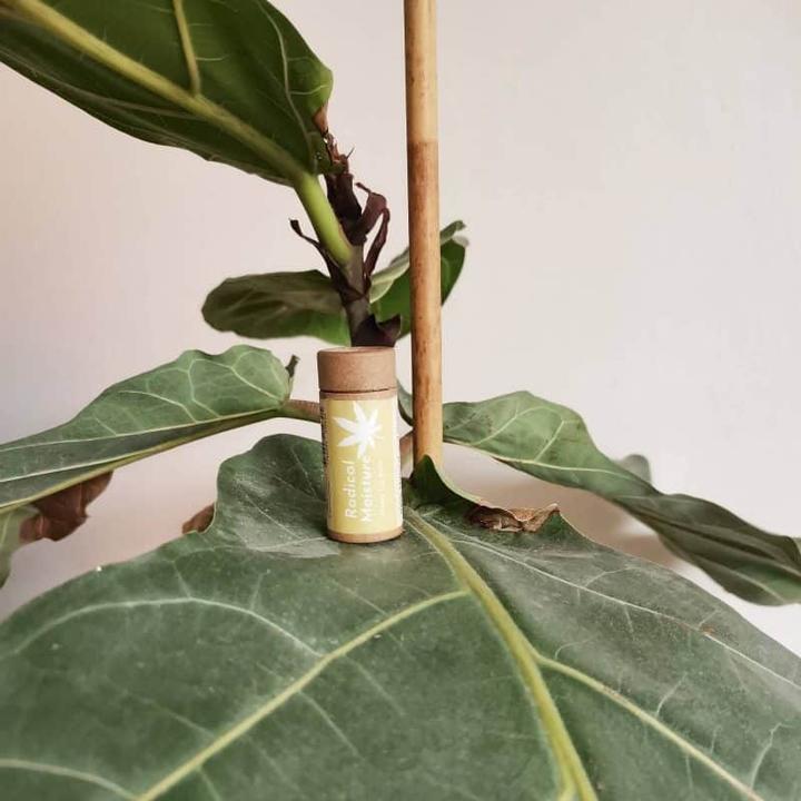 Actual product image Suntribe Lip Balm Hemp (Lip balm, 6 ml)