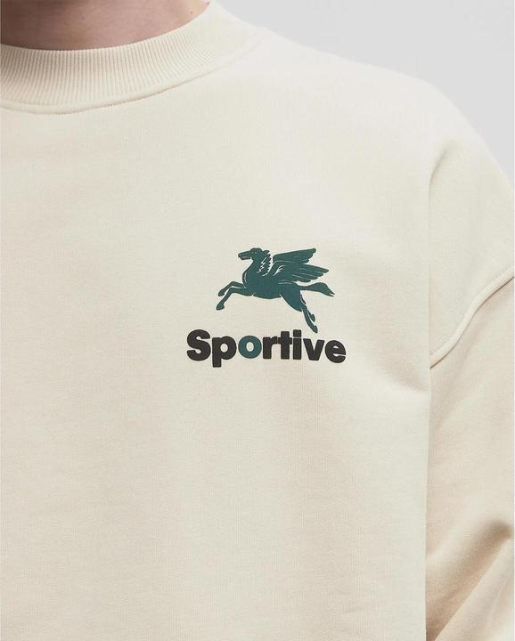 Produktbild Goodies Sportive Premium 550GMS (M)