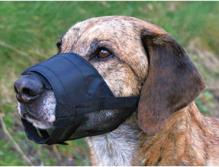 Actual product image Trixie Muzzle (M, Dog, Walks)