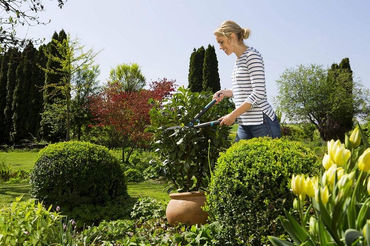 Produktbild Gardena EasyCut (Handheckenschere)