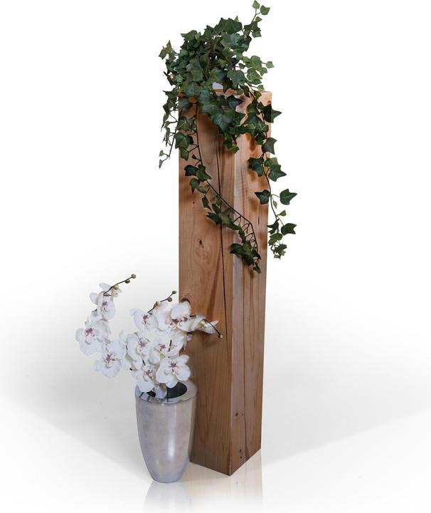 Riproduzione quercia