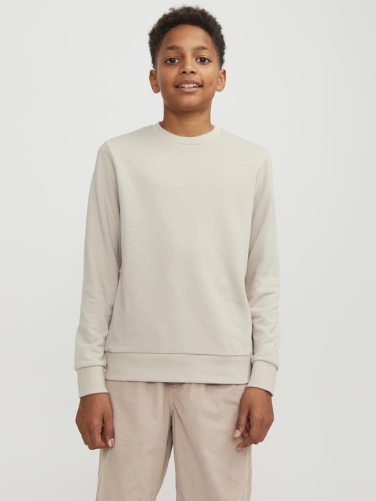 Actual product image Jack & Jones Boys Sweatshirt (152)