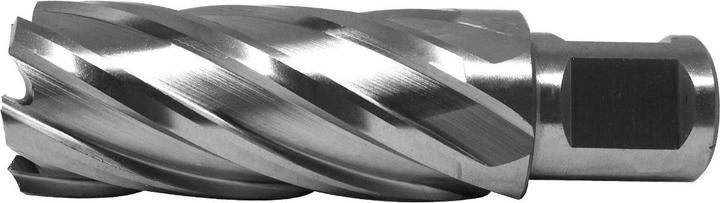 Actual product image Paulimot HSS-Kernbohrer mit Bohrtiefe 55 mm, Ø 24 mm (24 millimetres)