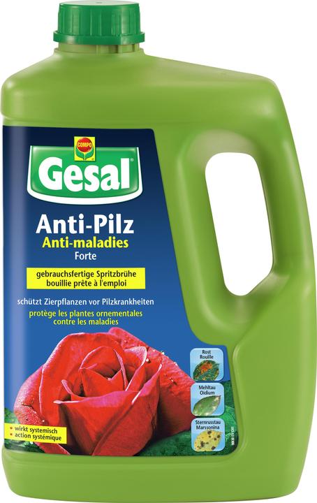 Immagine prodotto Gesal Anti-Pilz Forte (Ruggine)