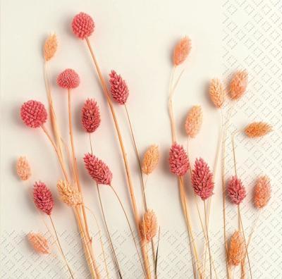Image du produit Stewo Serivette (20 pcs, 33 x 33 cm)