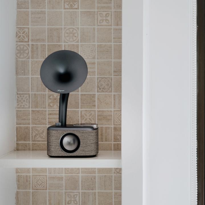 Immagine prodotto Sangean CP 100D (DAB, FM, Bluetooth)