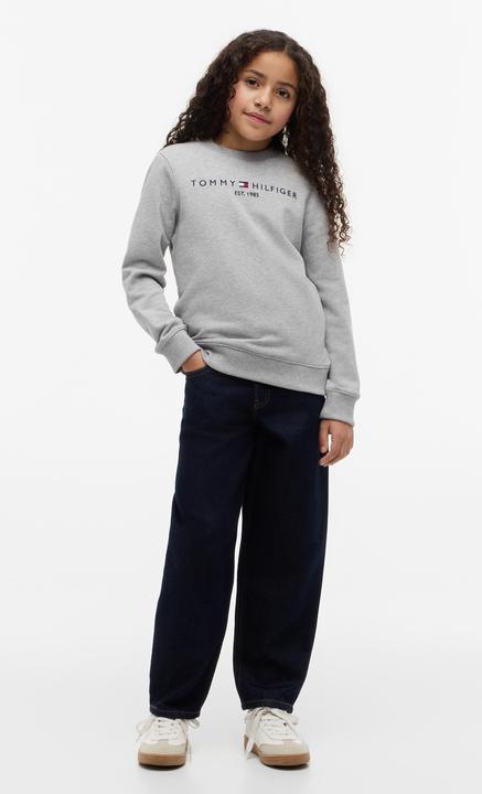 Image du produit Tommy Hilfiger Sweat-Shirt Essentiel (122)