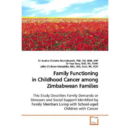 Family Functioning in Childhood Cancer among Zimbabwean Families, Fachbücher