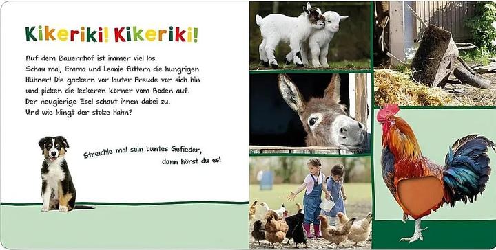 Immagine prodotto Hör mal rein, wer kann das sein? – Auf dem Bauernhof (Tedesco)