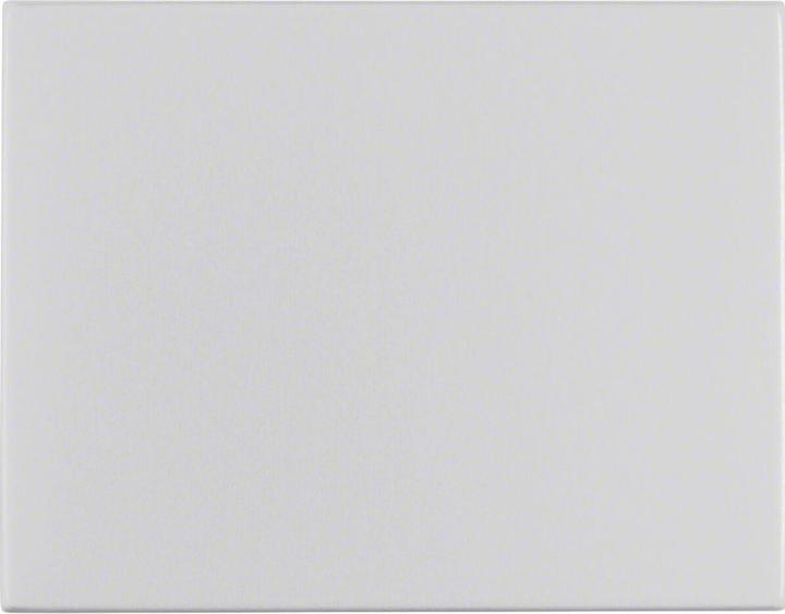 Actual product image Berker Rocker