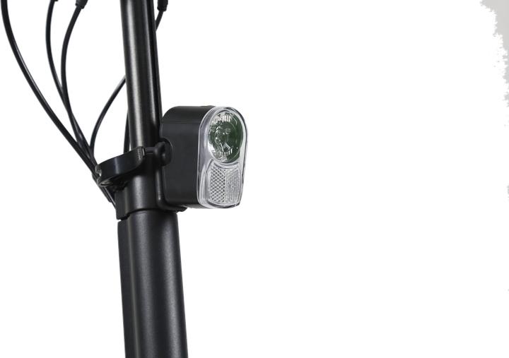 Actual product image Egret Ten V3 X (20 km/h, 42 km, 500 W)