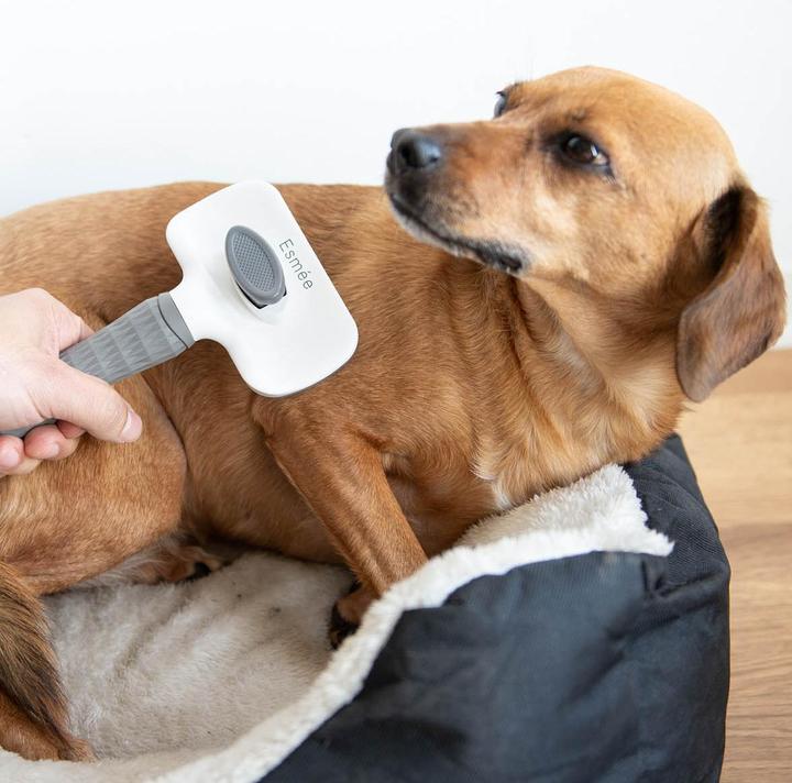 Produktbild Esmée Fellbürste (Hund)